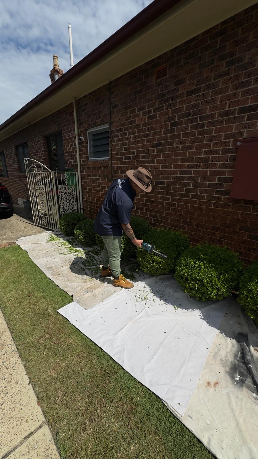 Precision hedge shaping, Eastern Suburbs